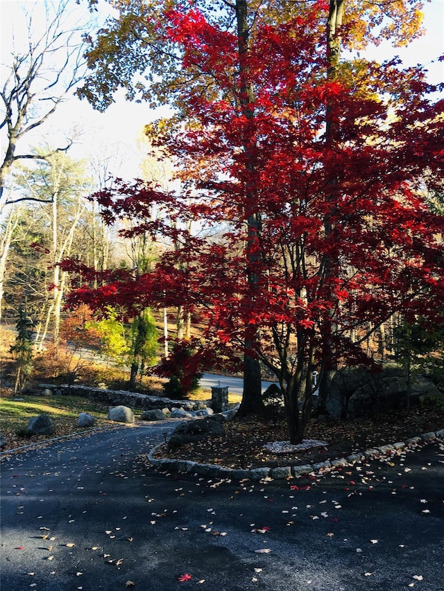 123 E St, South Salem, NY 10590 - view of home's exterior