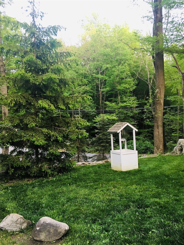 123 E St, South Salem, NY 10590 - view of green lawn