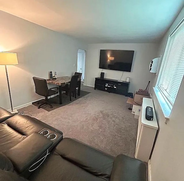 264-17 Langston Ave Unit E-2, Glen Oaks, NY 11004 - living area with baseboards and carpet flooring