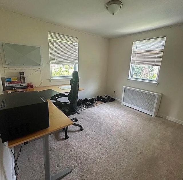 264-17 Langston Ave Unit E-2, Glen Oaks, NY 11004 - carpeted home office with radiator heating unit and baseboards