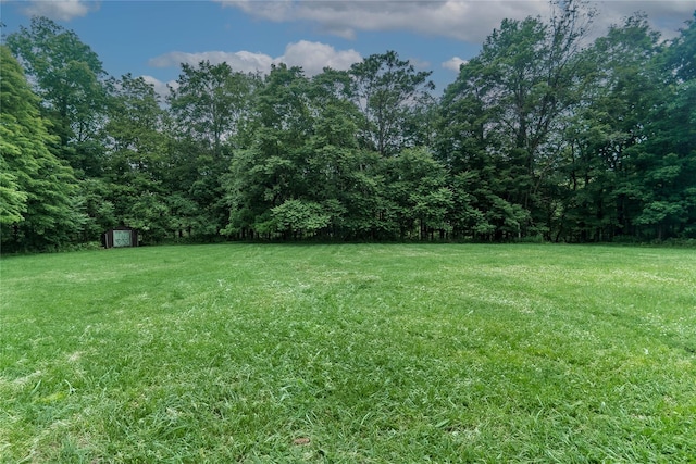 162 Lippincott Rd, Wallkill, NY 12589 - view of green lawn featuring a storage shed and a wooded view