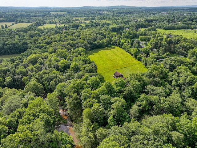 162 Lippincott Rd, Wallkill, NY 12589 - view of rural area featuring a forest