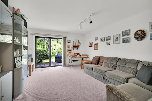48 Old Lake Rd, Congers, NY 10920 - living room with light colored carpet and rail lighting