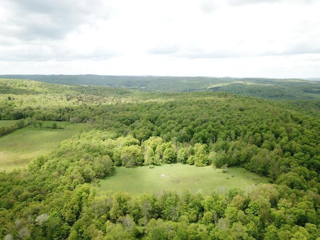 0 Dubois, Livingston Manor, NY 12758 - photo 1