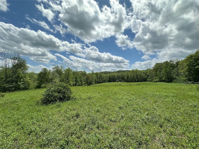 0 Dubois, Livingston Manor, NY 12758 - photo 3