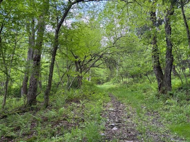 0 Dubois, Livingston Manor, NY 12758 - photo 4