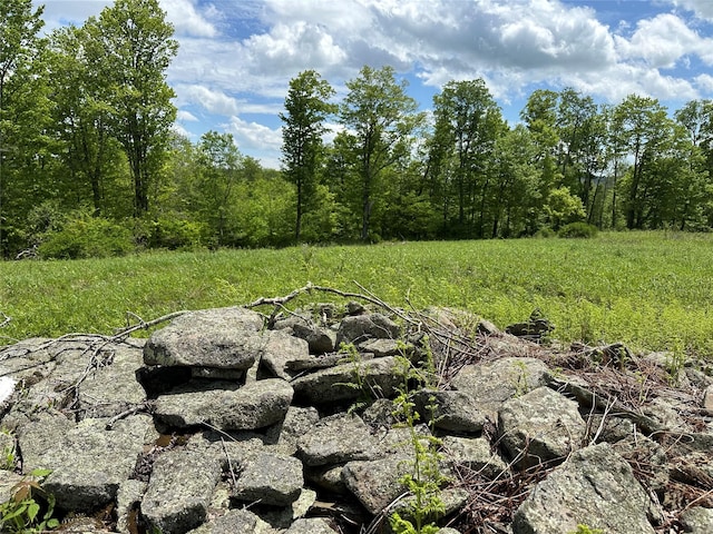 0 Dubois, Livingston Manor, NY 12758 - photo 5