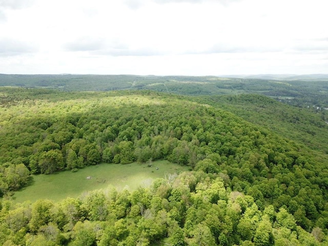 0 Dubois, Livingston Manor, NY 12758 - photo 6