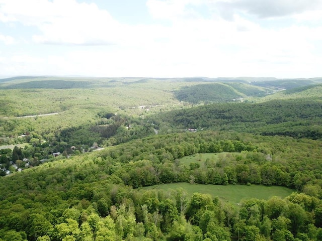 0 Dubois, Livingston Manor, NY 12758 - photo 7