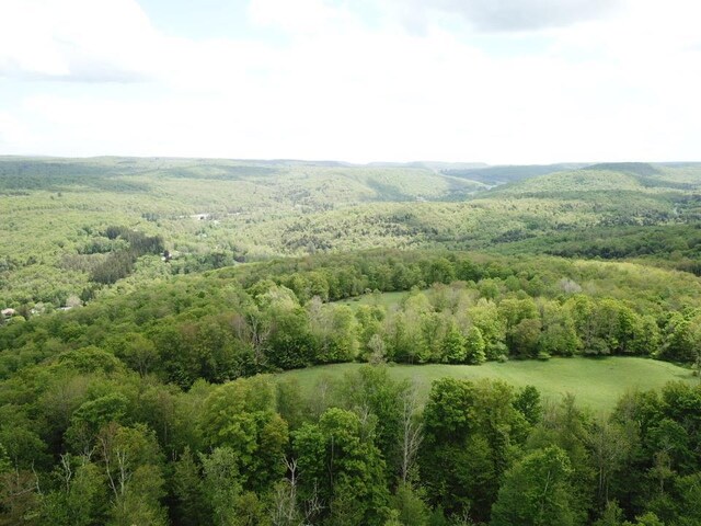 0 Dubois, Livingston Manor, NY 12758 - photo 8