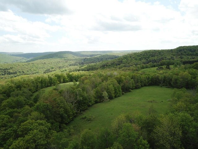 0 Dubois, Livingston Manor, NY 12758 - photo 9