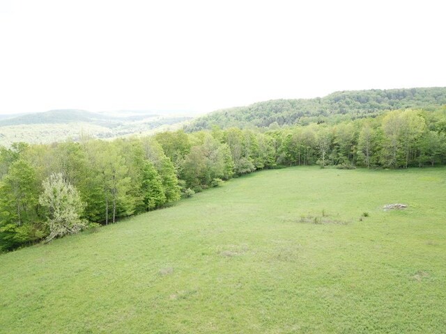 0 Dubois, Livingston Manor, NY 12758 - photo 10