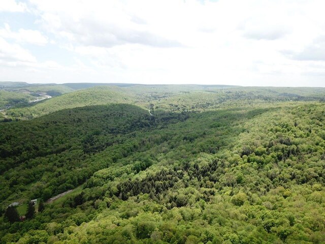 0 Dubois, Livingston Manor, NY 12758 - photo 11