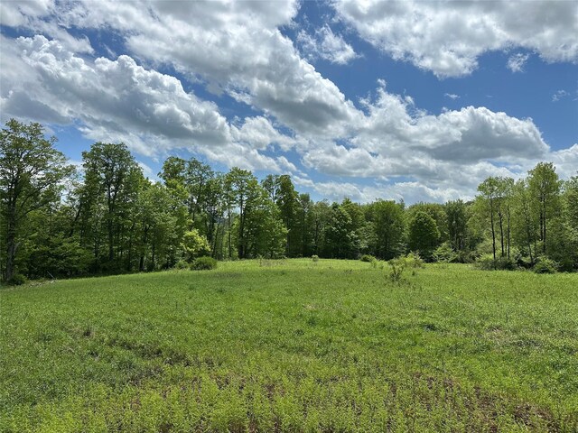 0 Dubois, Livingston Manor, NY 12758 - photo 15