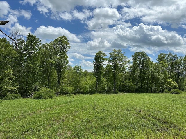 0 Dubois, Livingston Manor, NY 12758 - photo 16