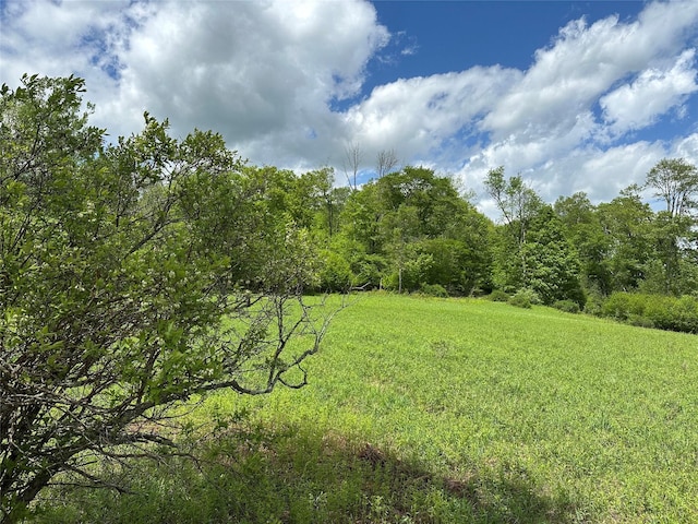 0 Dubois, Livingston Manor, NY 12758 - photo 17