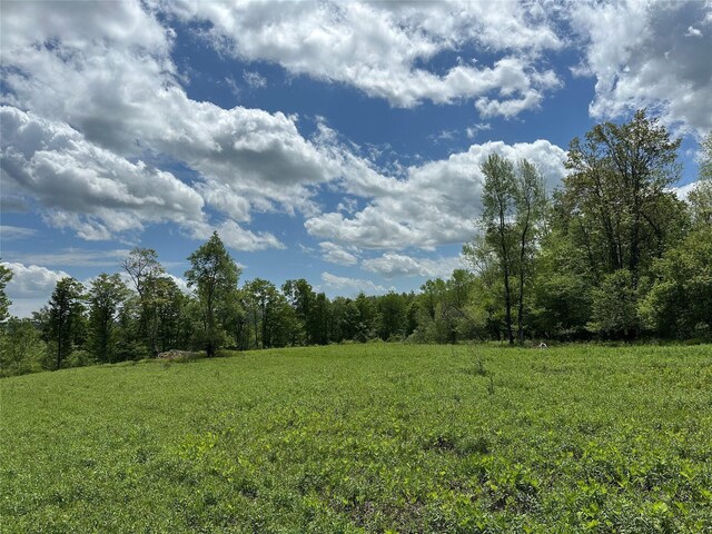 0 Dubois, Livingston Manor, NY 12758 - photo 18
