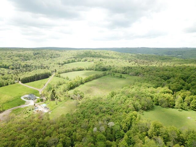 0 Dubois, Livingston Manor, NY 12758 - photo 19