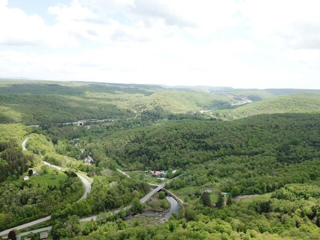 0 Dubois, Livingston Manor, NY 12758 - photo 20