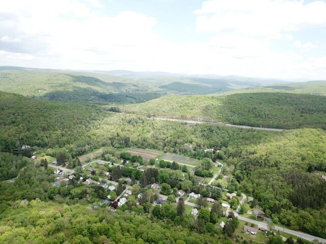 0 Dubois, Livingston Manor, NY 12758 - photo 21