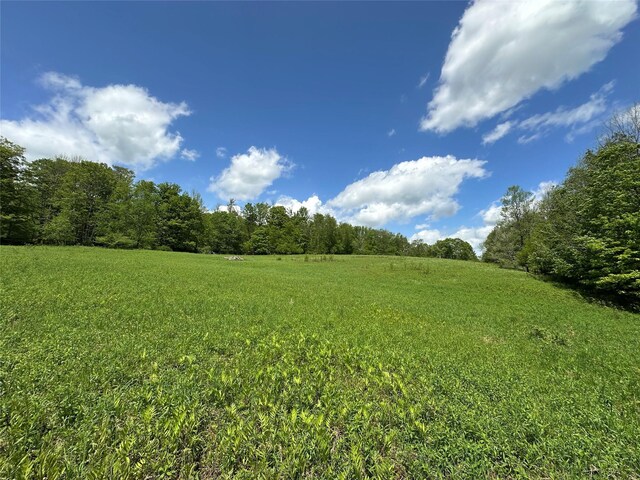 0 Dubois, Livingston Manor, NY 12758 - photo 22