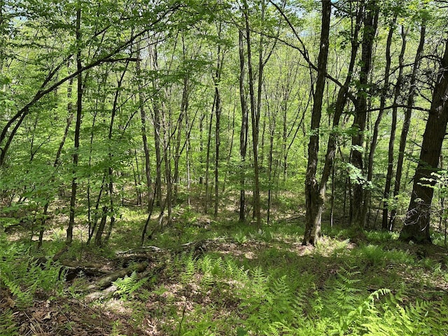 0 Dubois, Livingston Manor, NY 12758 - photo 23