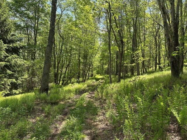 0 Dubois, Livingston Manor, NY 12758 - photo 24