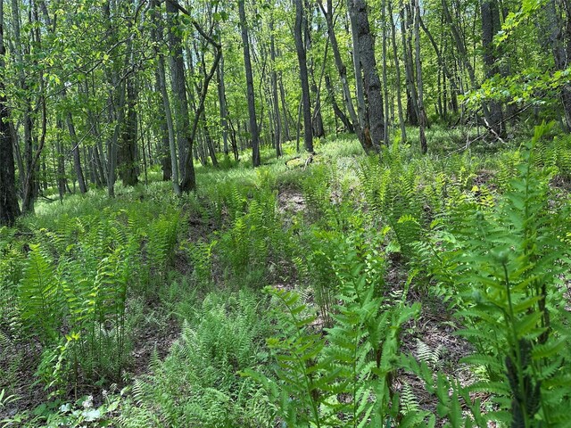 0 Dubois, Livingston Manor, NY 12758 - photo 25