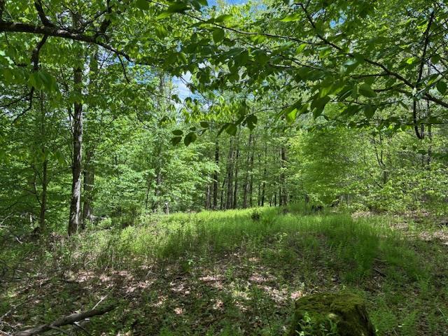 0 Dubois, Livingston Manor, NY 12758 - photo 26