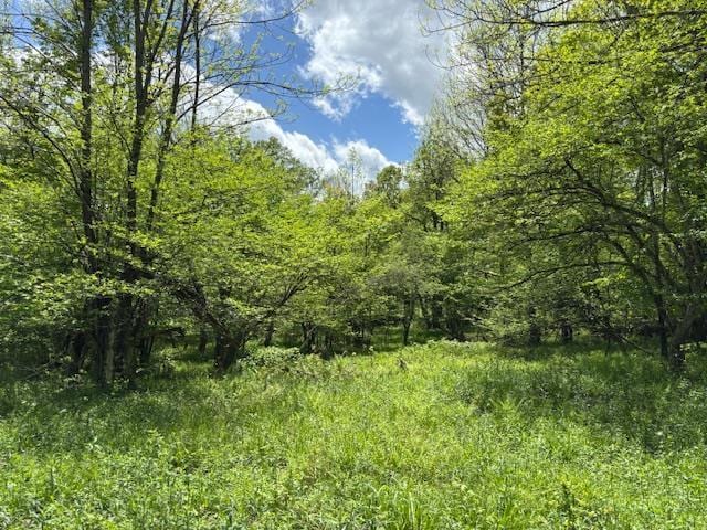 0 Dubois, Livingston Manor, NY 12758 - photo 27
