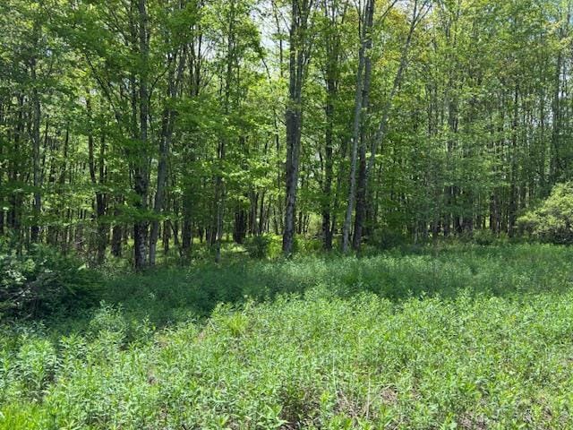 0 Dubois, Livingston Manor, NY 12758 - photo 28