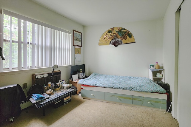 120-16 Cove Ct Unit 87A, College Point, NY 11356 - bedroom with carpet
