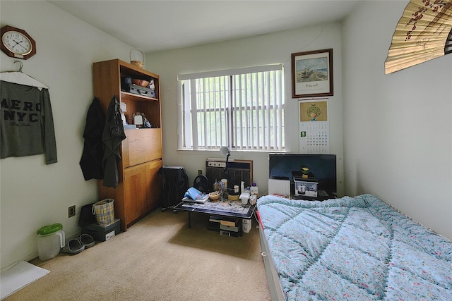 120-16 Cove Ct Unit 87A, College Point, NY 11356 - bedroom featuring carpet floors
