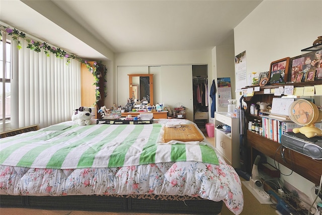 120-16 Cove Ct Unit 87A, College Point, NY 11356 - bedroom with a closet