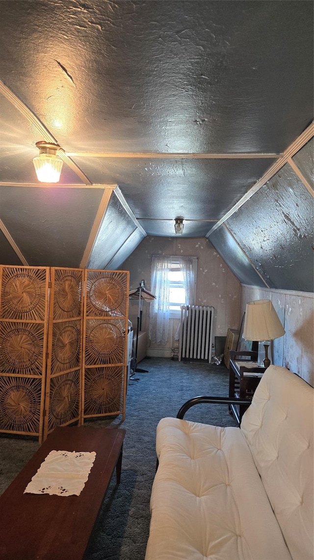 11419 179th St, Addisleigh Park, NY 11434 - carpeted bedroom with radiator and vaulted ceiling