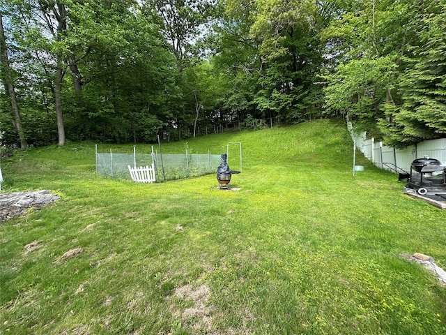 214SHOREDRIVE Shore Dr, Brewster, NY 10509 - view of green lawn