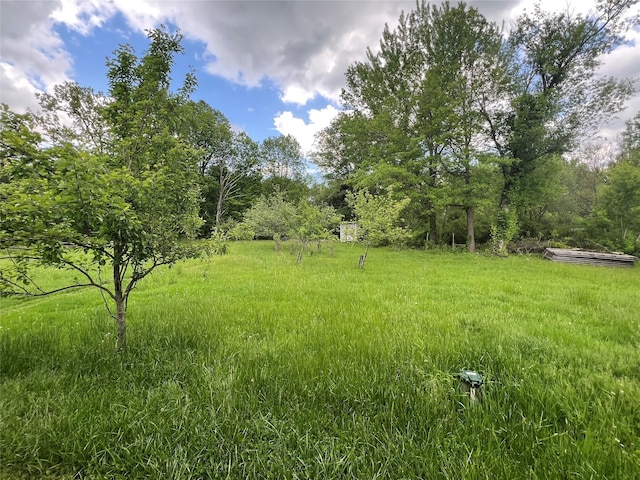 692 Burlingham Rd, Bloomingburg, NY 12721 - view of yard