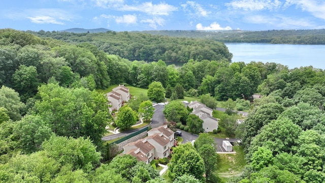 204 Virginia Woods Dr, Brewster, NY 10509 - photo 29