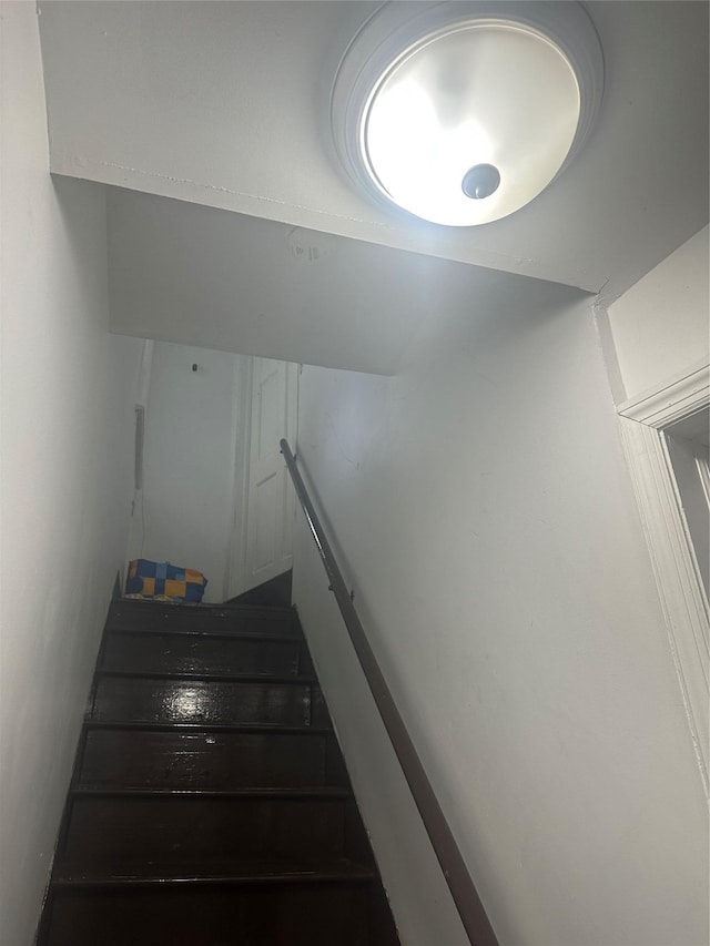 21 Drake Ave, New Rochelle, NY 10805 - photo 8