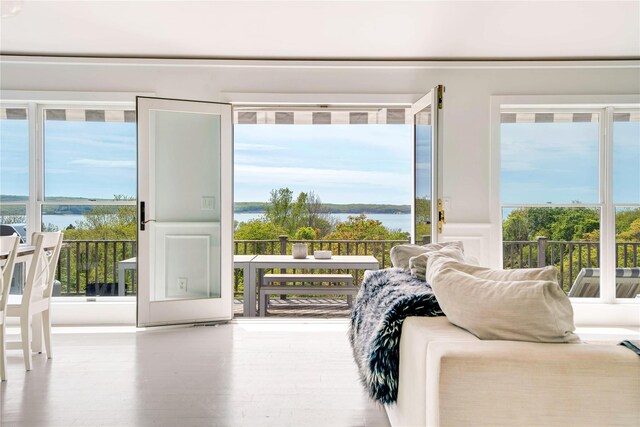 6 Beech Hollow Ct, Montauk, NY 11954 - bedroom with a water view and wood finished floors