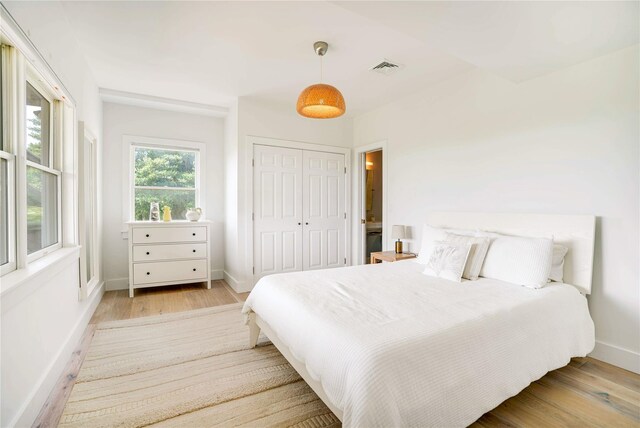 6 Beech Hollow Ct, Montauk, NY 11954 - bedroom with light wood-type flooring, baseboards, and a closet