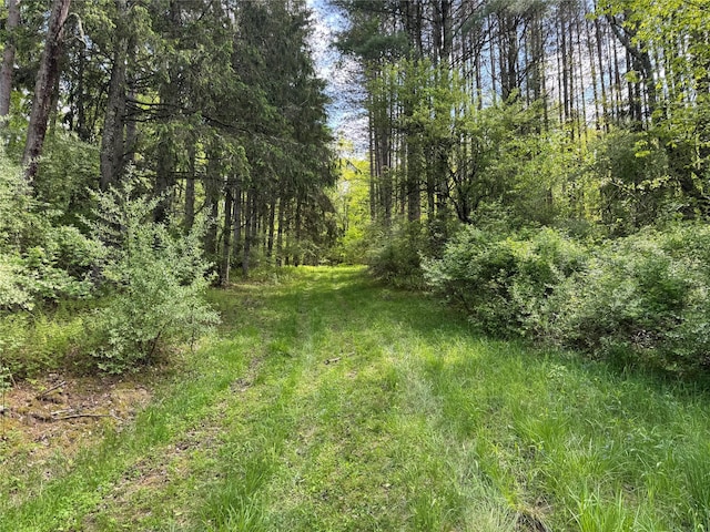 632 New Turnpike Rd, Cochecton, NY 12726