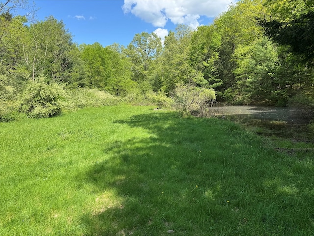 632 New Turnpike Rd, Cochecton, NY 12726