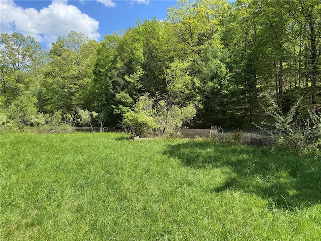 632 New Turnpike Rd, Cochecton, NY 12726