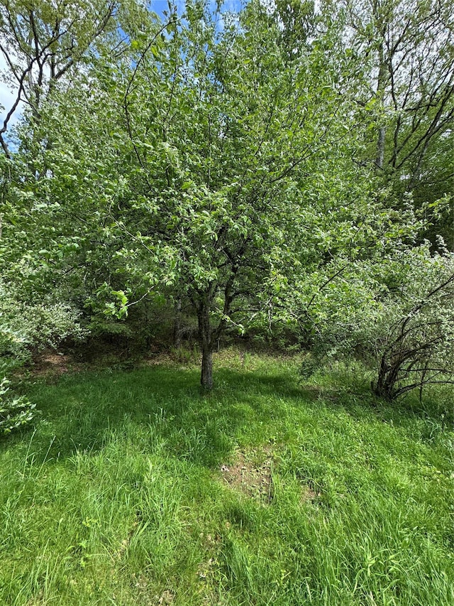 632 New Turnpike Rd, Cochecton, NY 12726