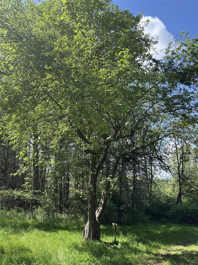 632 New Turnpike Rd, Cochecton, NY 12726