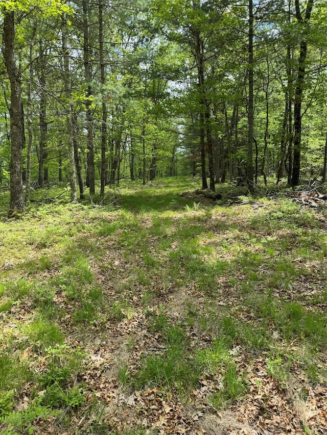 632 New Turnpike Rd, Cochecton, NY 12726