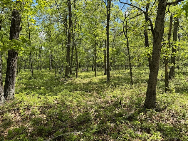 632 New Turnpike Rd, Cochecton, NY 12726