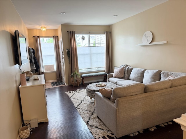5 Case Ct, Monroe, NY 10950 - living room featuring dark wood-type flooring