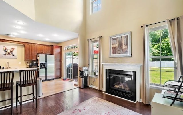 5 Case Ct, Monroe, NY 10950 - living room featuring dark wood-style flooring, a glass covered fireplace, and a high ceiling